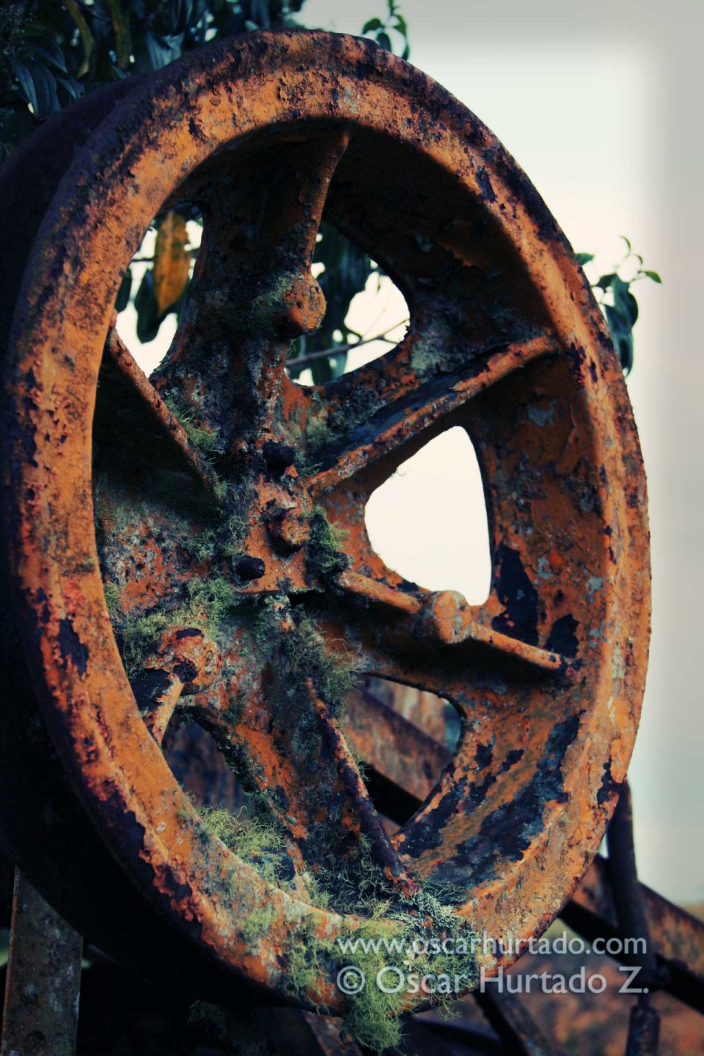 The Wild Against Machine - Color photograph (2013)
