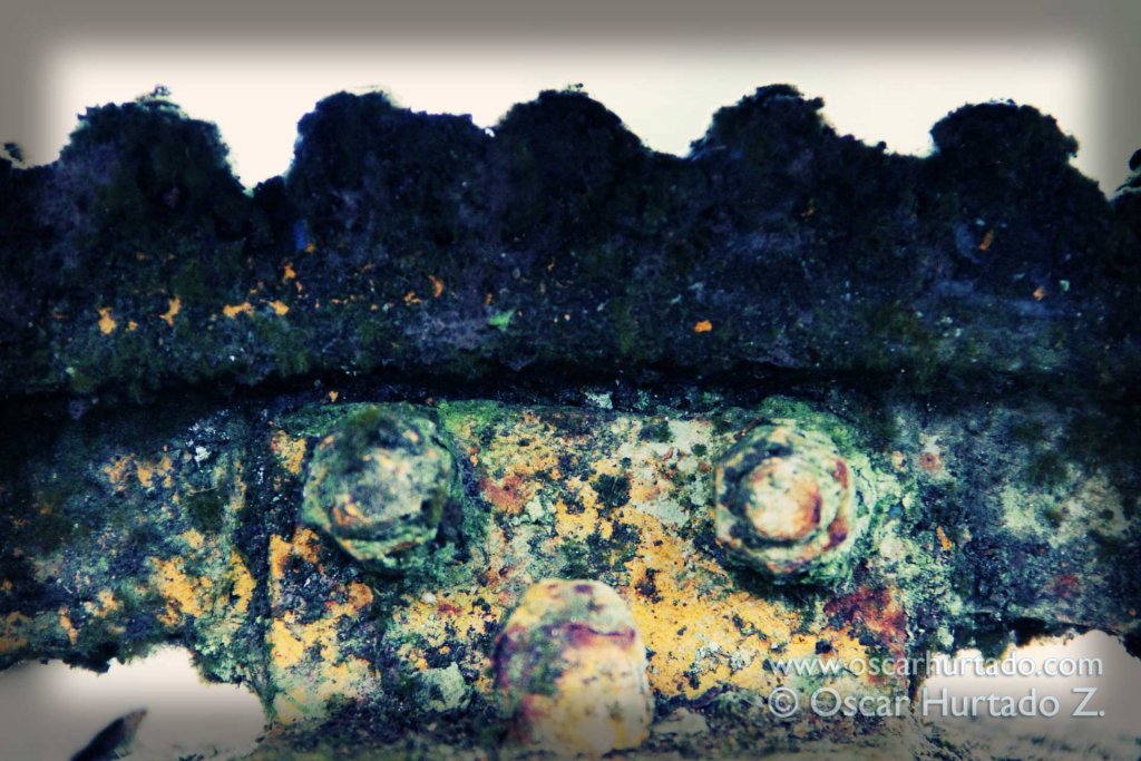 Mossy Iron Landscape - Color photograph (2013)