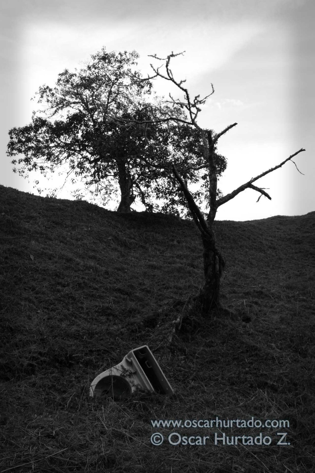 Flushing Nature - Black and White photograph (2013)