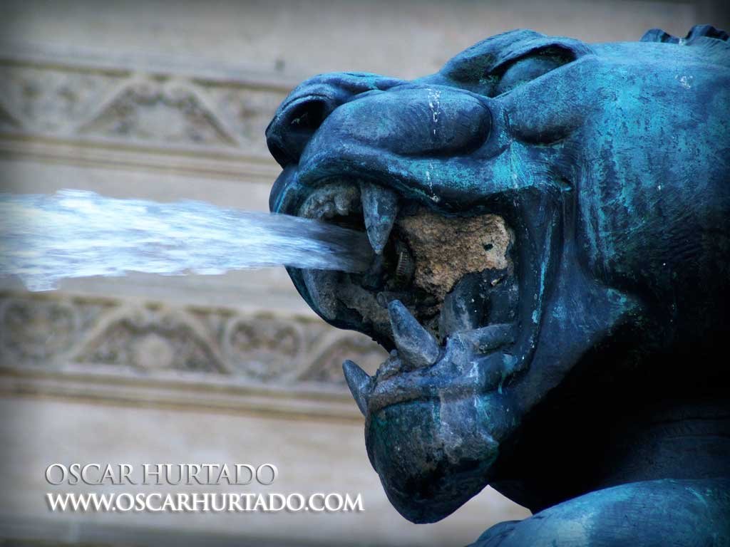 Head of dragon statue at St. Michel's fountain