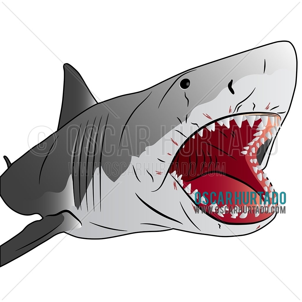 Digital art of a great white shark inspired by Bruce from the film Jaws