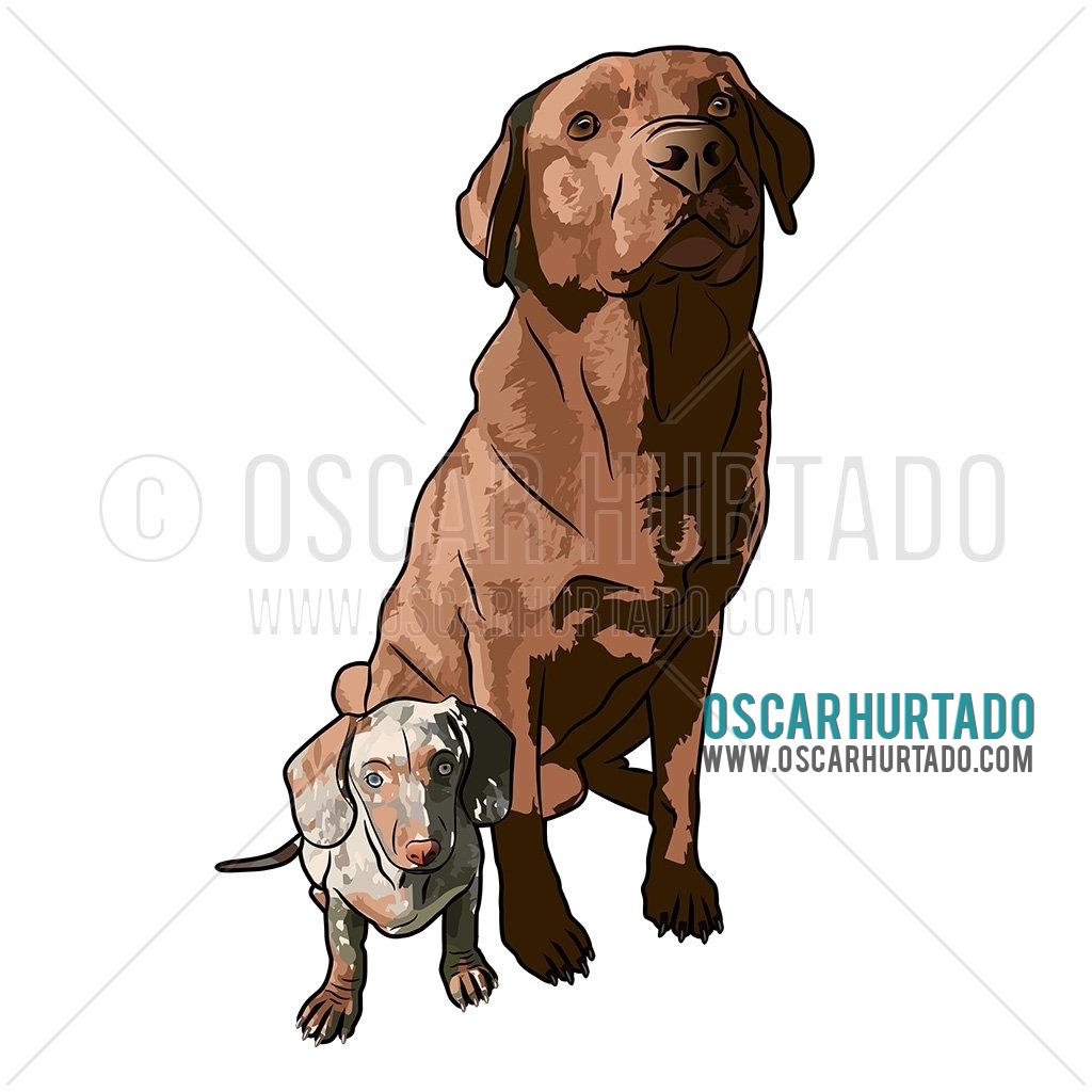 Digital portrait of two beautiful dogs just chilling together
