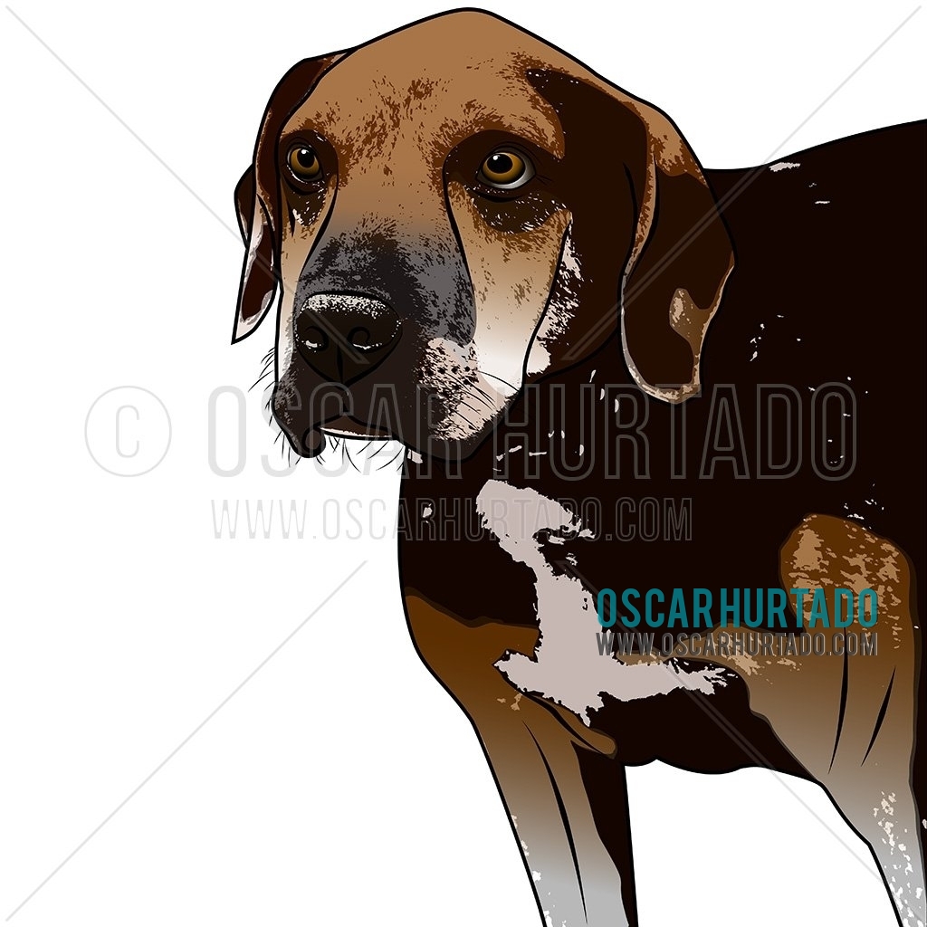 Digital portrait of my beautiful dog and buddy of endless adventures