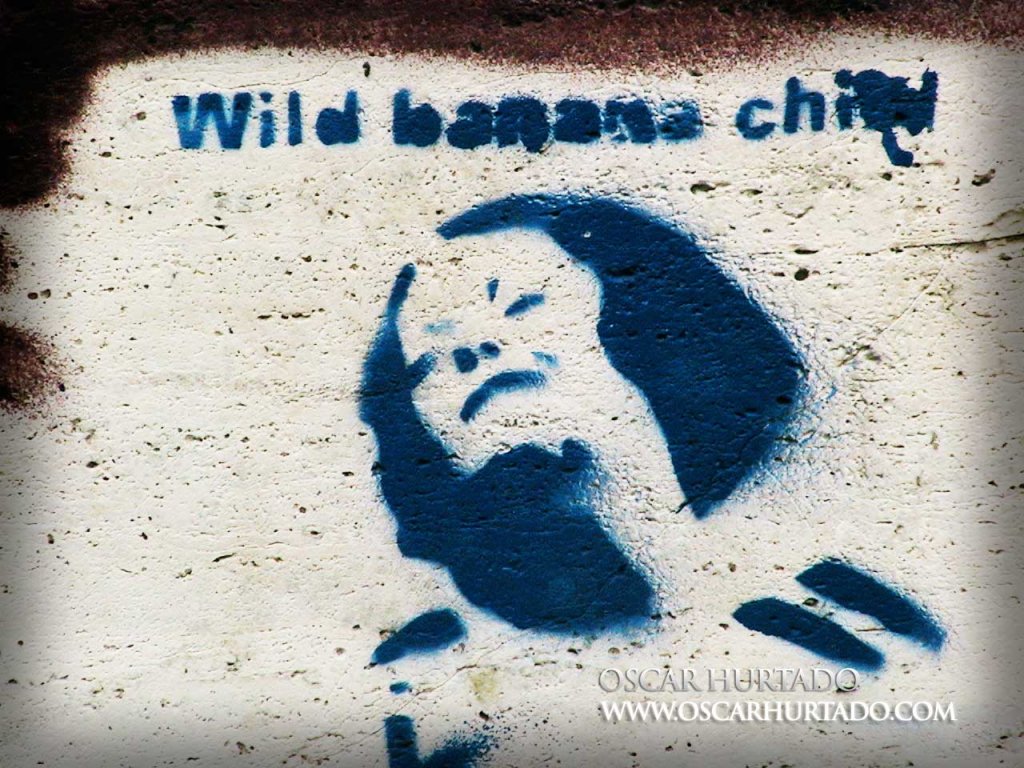 Blue graffiti of a woman under the Wild Banana Child brand
