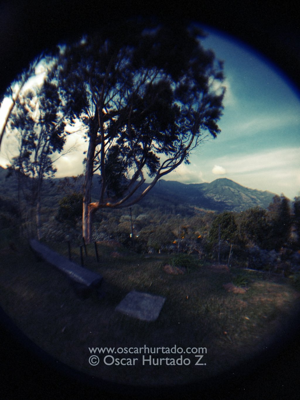 Distorted Nature - Fish-eye color photograph (2014)