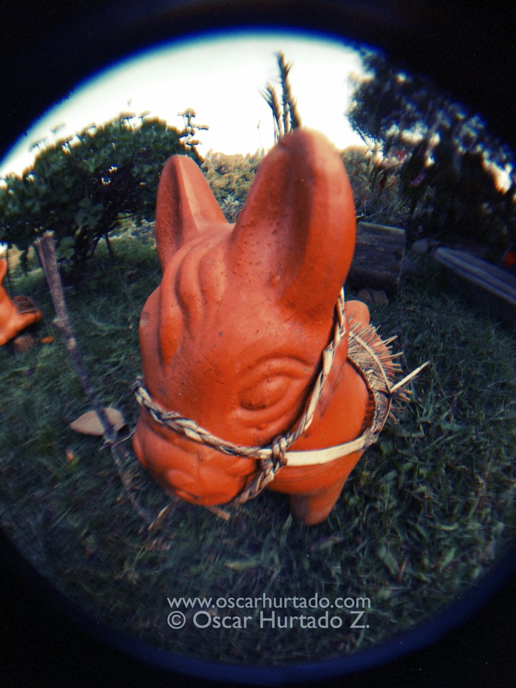 The Pony - Fish-eye color photograph (2014)