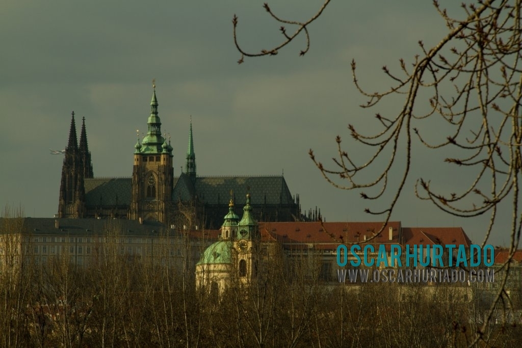 Distant view of the Prague Castle framed by branches and leafless trees during one winter afternoon
