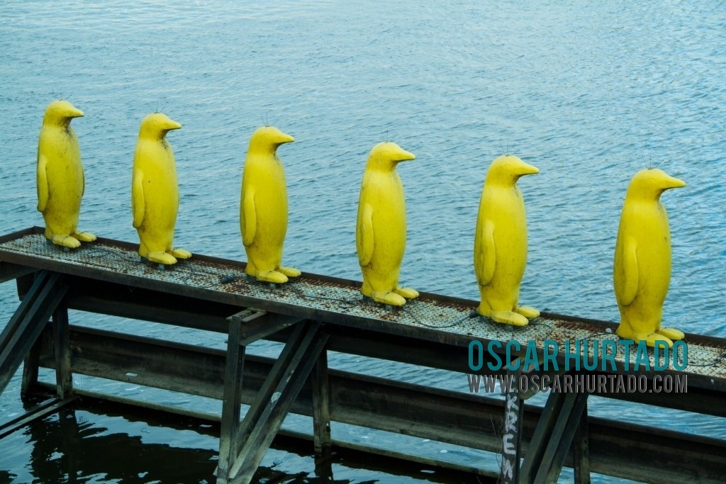 A collection of statues depicting yellow penguins found by the Vltava river shore