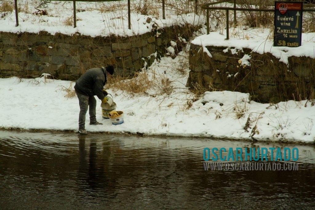 An interesting man seen collecting water from the Vltava river in paint buckets