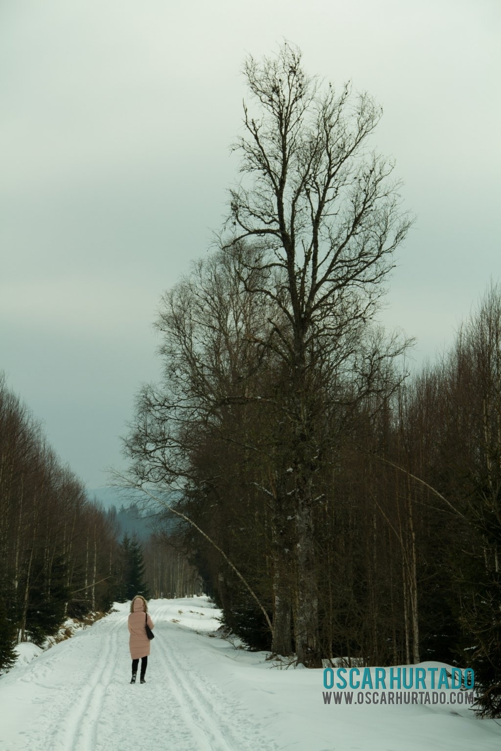 She made her way across a snowy and cold landscape so far from me