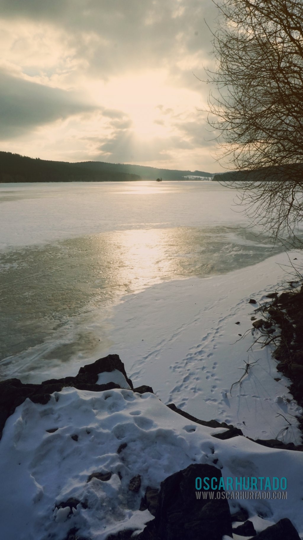 View from a very serene spot on the frozen shore of the Lipno lake