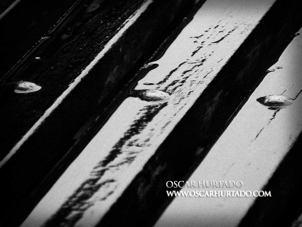 Wet Accents - Black and White photograph (2008)