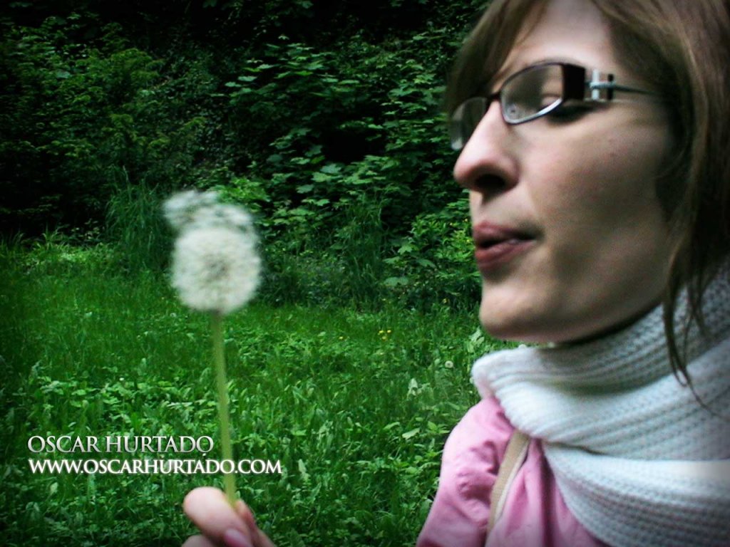 Blowing Dandelions - Color photograph (2008)