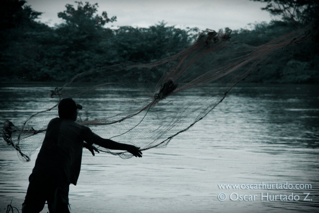 A local fisherman sets his net in hopes to catch that big fish hiding and lurking in the deep mysterious waters of the Magdalena river