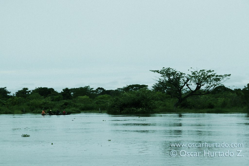 A small group of people crosses the flooded landscape of the Magdalena river on canoe
