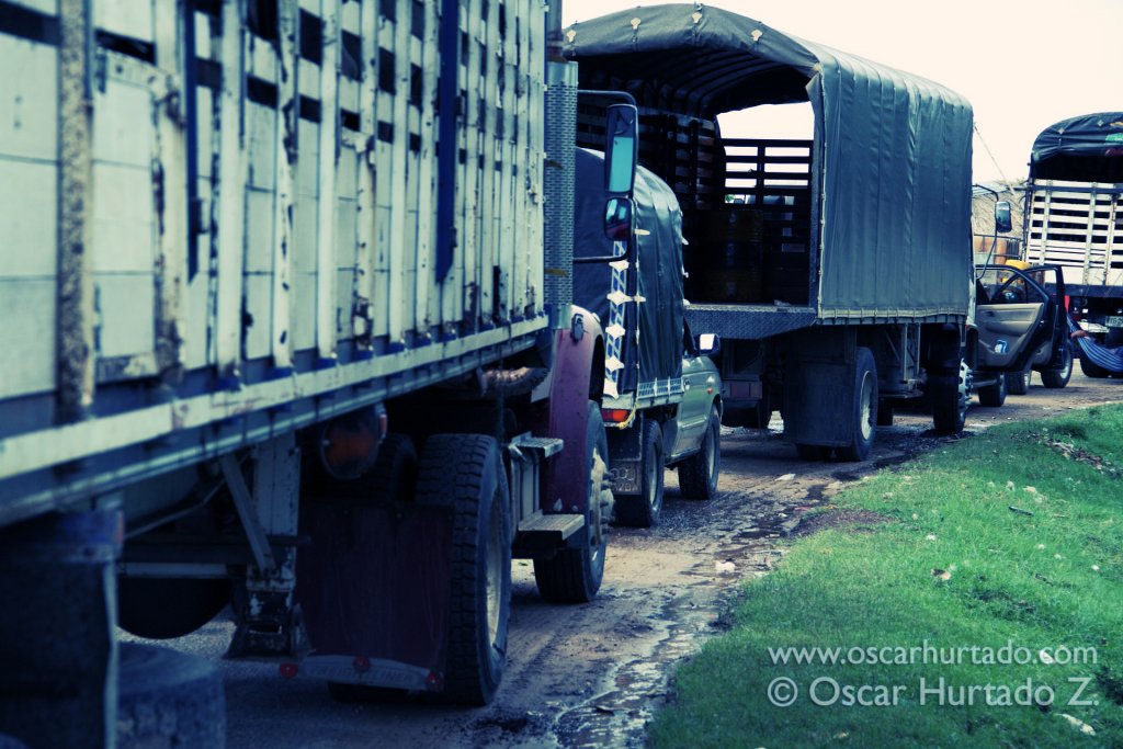 Large traffic awaiting permission to cross the Magdalena river by ferry