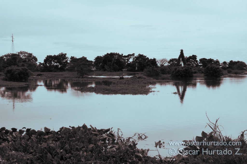 The flooded landscape seen across the flooded shores of the Magdalena river during the rainy season