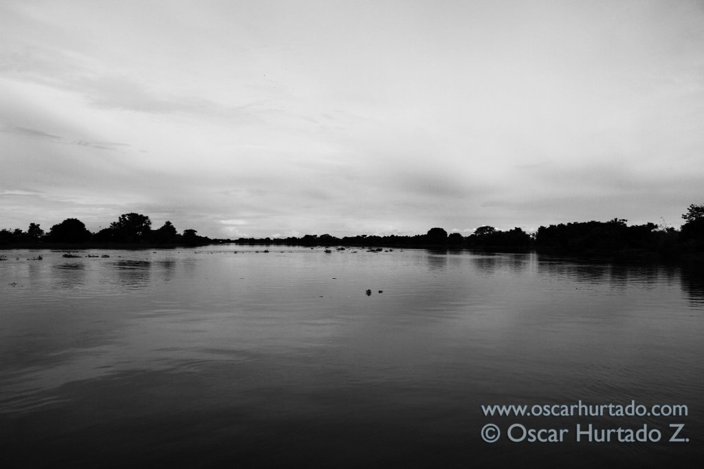 Beautiful black and white shot of the horizon of the Magdalena river as seen from the ferry