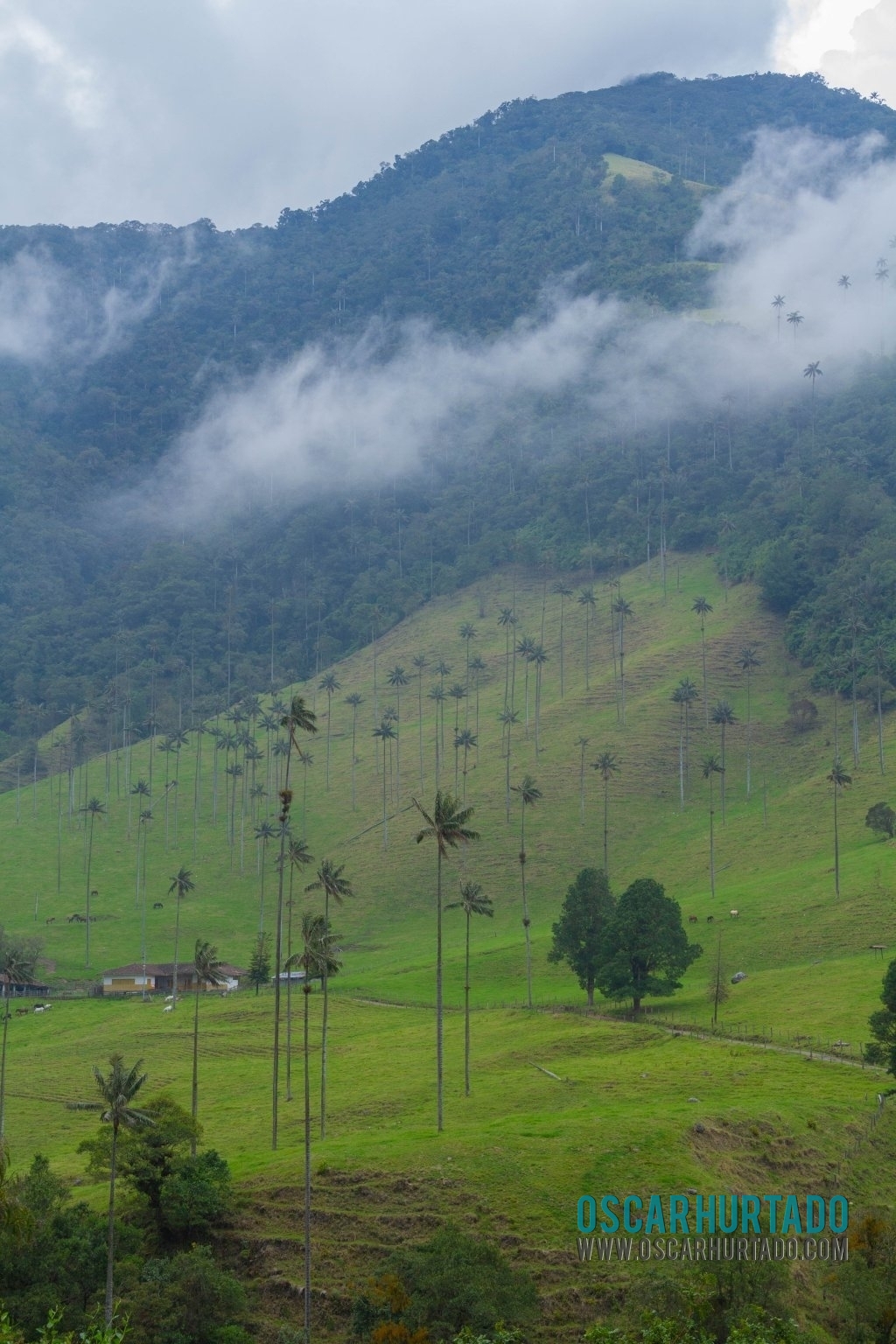 A typical colonial farmhouse found on the bed of the mountains of Cocora Valley