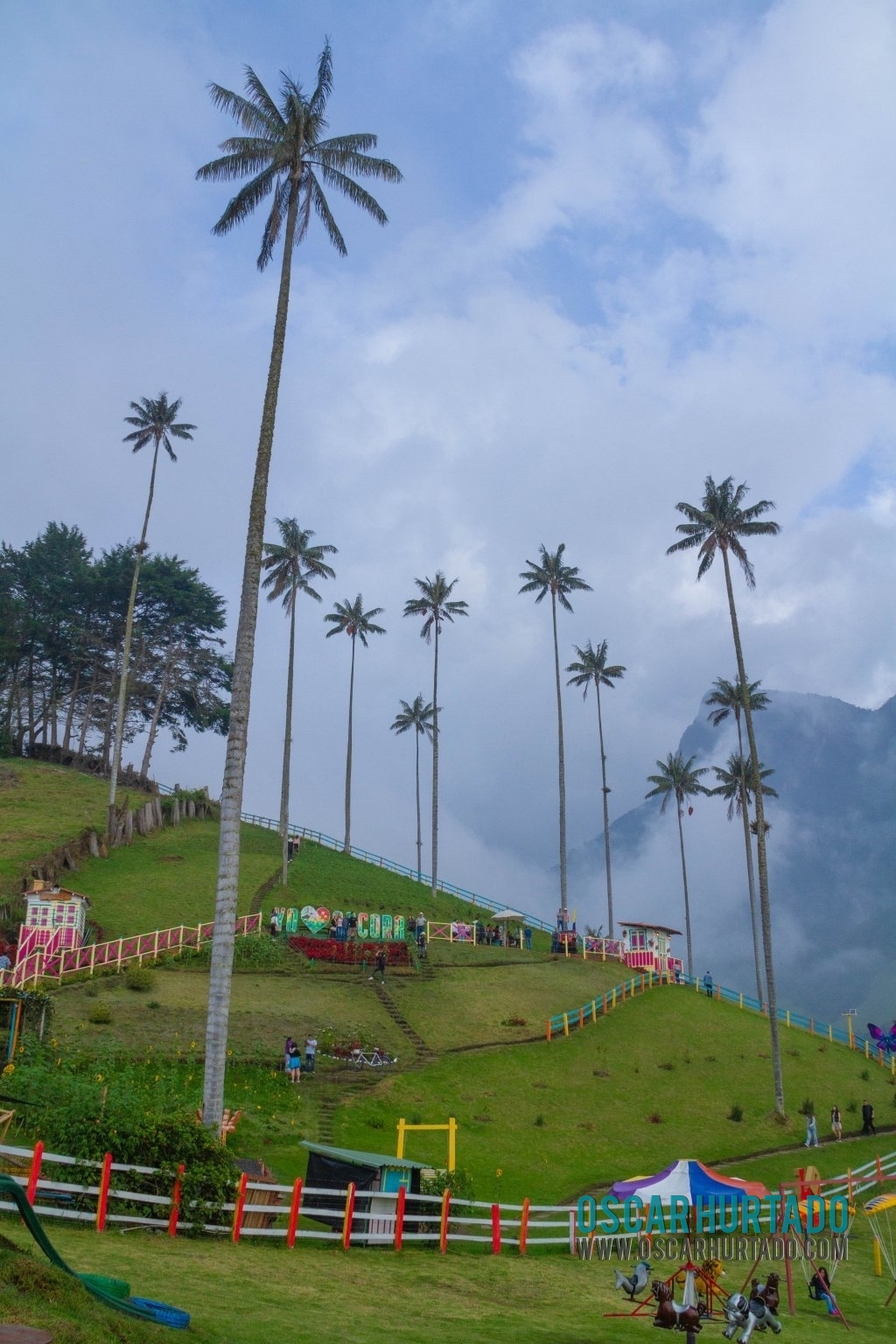 Some of the tourist attractions found at Cocora Valley