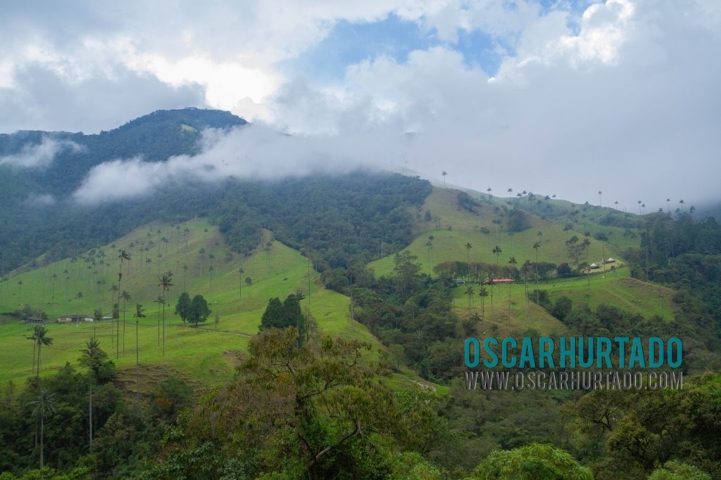 Gorgeous view of the fog slowly covering the Cocora Valley landscape