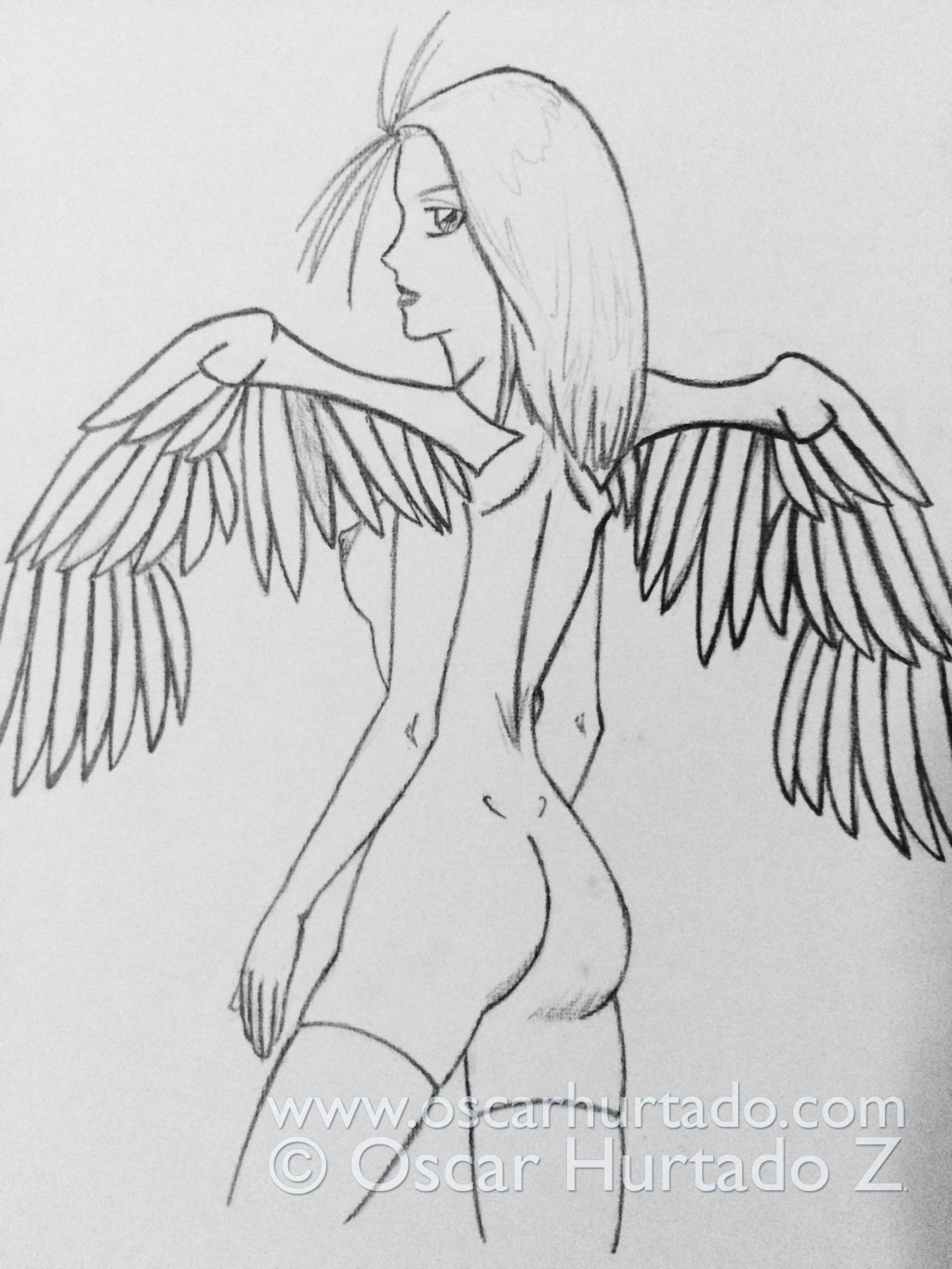 Winged Beauty - Pencil drawing