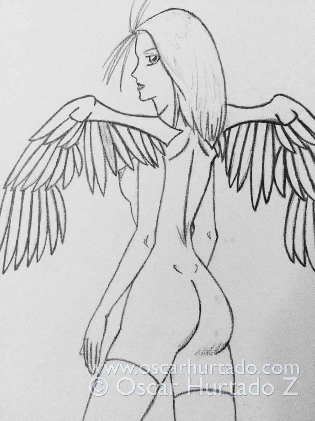 Mid section of the pencil drawing titled Winged Beauty