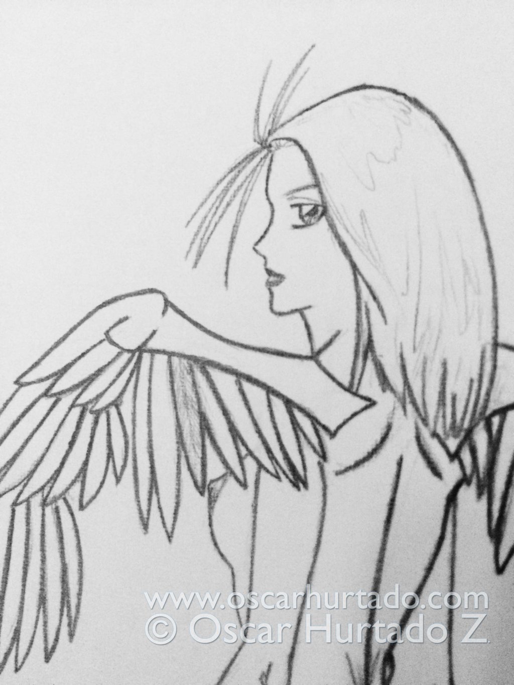 Detail view of the pencil drawing titled Winged Beauty