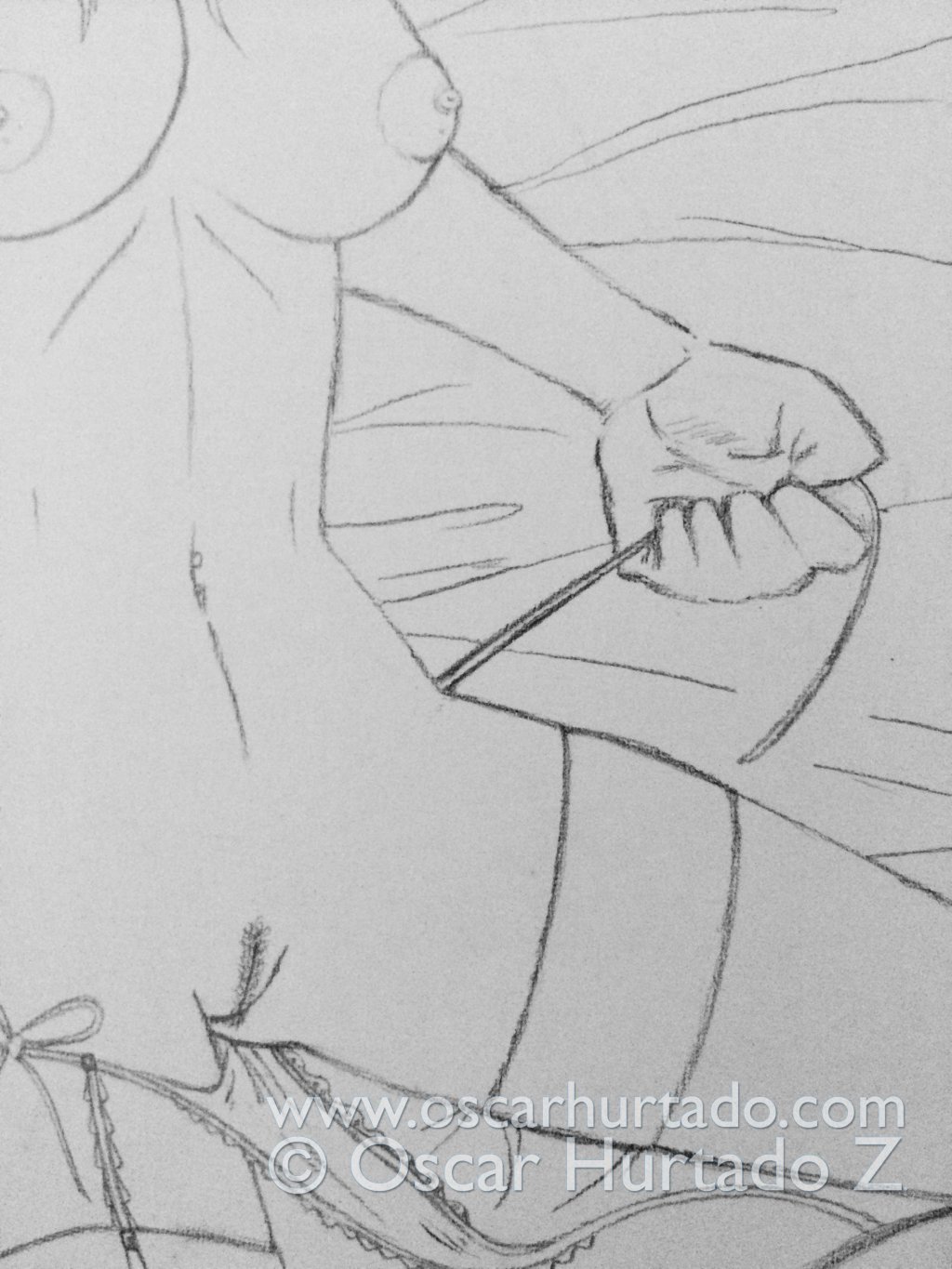 Detail view of the pencil drawing titled Erotic Awakening