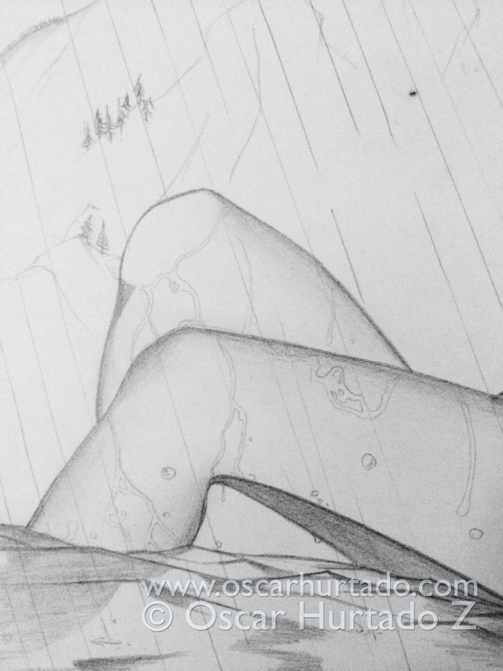 Detail view of the legs from the pencil drawing titled Ecstasy by the Alps