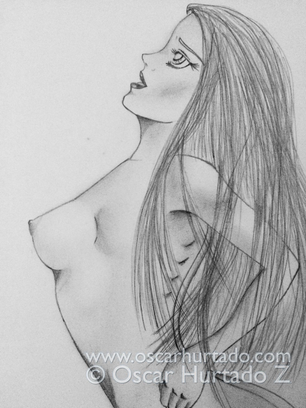 Top section of the pencil drawing titled La Plastique