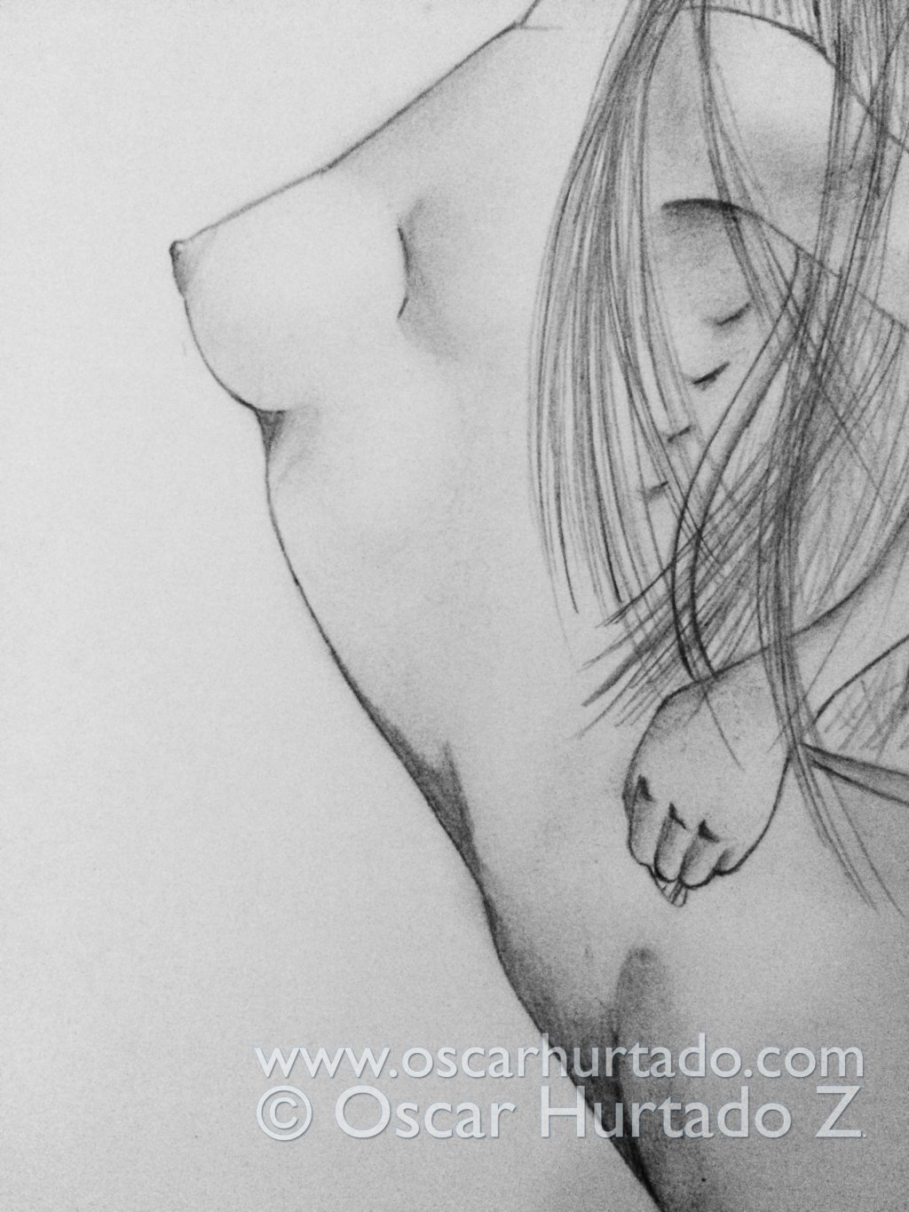 Mid section of the pencil drawing titled La Plastique