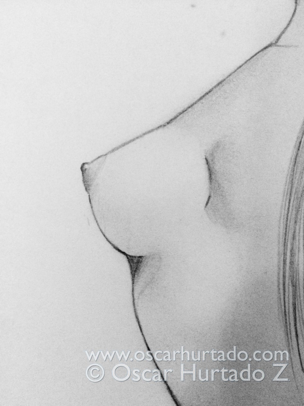 Breast view of the pencil drawing titled La Plastique